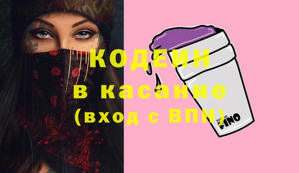 крисы Абаза