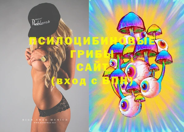 ГАЛЛЮЦИНОГЕННЫЕ ГРИБЫ Алексеевка