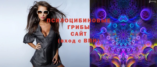 ГАЛЛЮЦИНОГЕННЫЕ ГРИБЫ Алексеевка