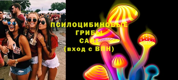 ГАЛЛЮЦИНОГЕННЫЕ ГРИБЫ Алексеевка