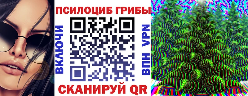 ОМГ ОМГ зеркало Сочи Галлюциногенные грибы Magic Shrooms