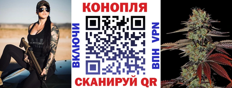 Шишки марихуана планчик  наркотики  omg зеркало  Сочи 